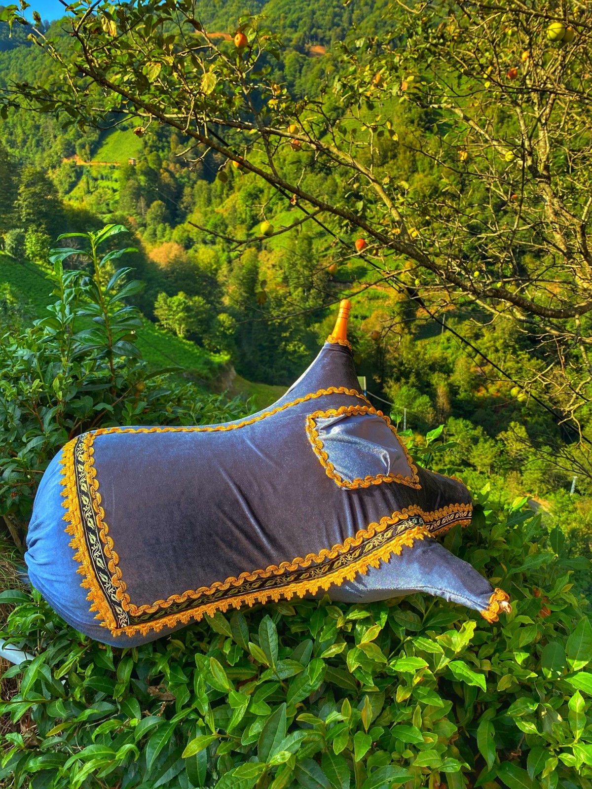 Tulum Derisi Tulum Derisi